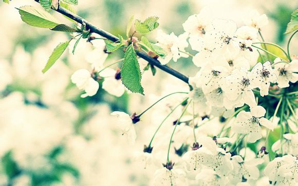 如何制取无氨水