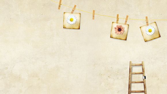 呼和浩特挖掘机多少钱