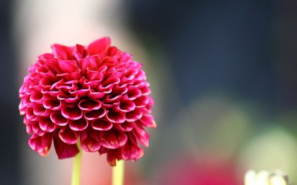 传统测距是什么方法
