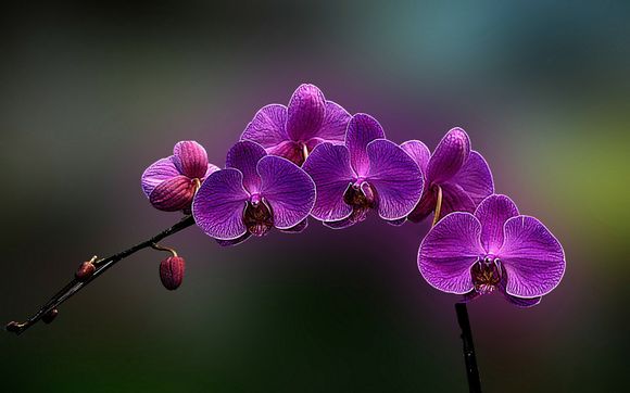 三一375挖掘机多少吨