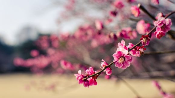 没电诺铁怎么办