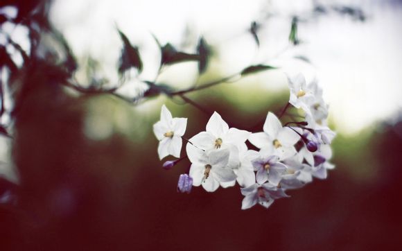 怎么样激活苹果电池