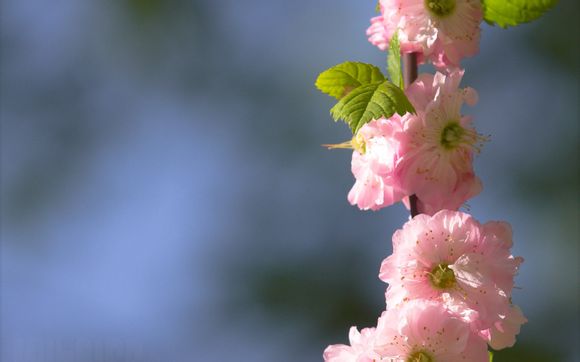 锂电球泡灯怎么拆灯头