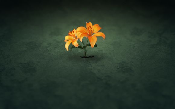 故障灯屏蔽器是什么