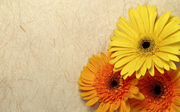 玩lol要什么技巧吗