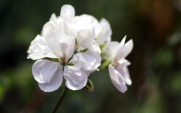 LR是指什么电池