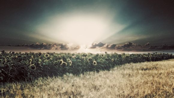 铲车波箱油怎么加